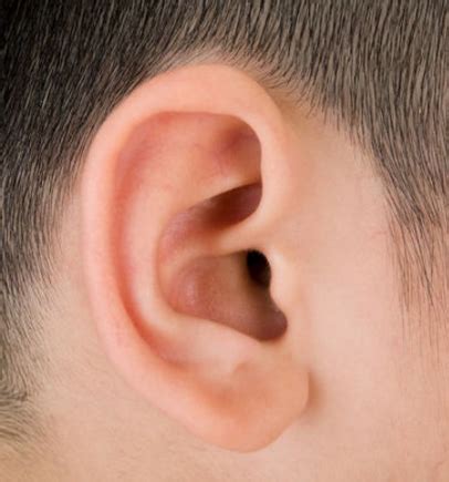 耳大有福？10种耳朵类型看懂你的福气和爱情