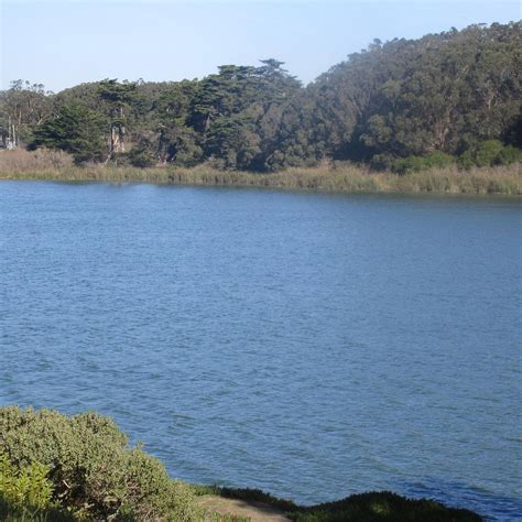 LAKE MERCED (San Francisco): Ce qu'il faut savoir pour votre visite ...
