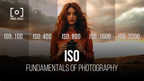 Maîtrise ISO : sensibilité à la lumière dans les photos