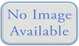 Vitthal Rukmini Temple, Vithoba Temple, Pandharpur, Timing, Pandharpur ...