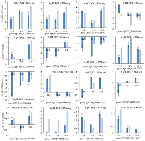Starch and Sucrose Metabolism and Plant Hormone Signaling Pathways Play ...