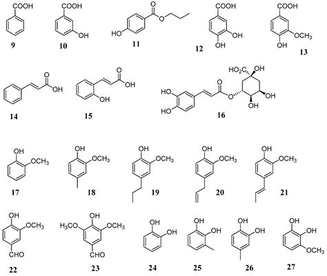 Phenols and Polyphenols as Carbonic Anhydrase Inhibitors