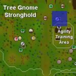 Image result for OSRS Tree Patches