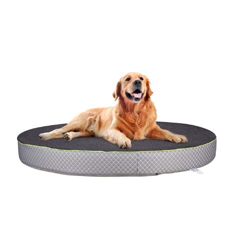 Metron Orthopeadic Pet Bed for Large Dogs | Round Shape | Dark Grey ...