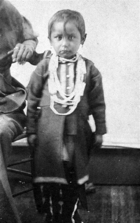 Idaho Native American Tribes: History & Number
