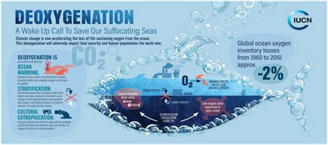 Ocean Deoxygenation for ias upsc prelims and mains exam, current ...