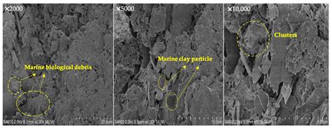 Normalized Stress–Strain Behavior of Deep-Sea Soft Soils in the ...