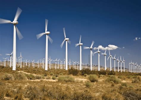 APES Unit 6 9th - 12th Grade Quiz | Wayground