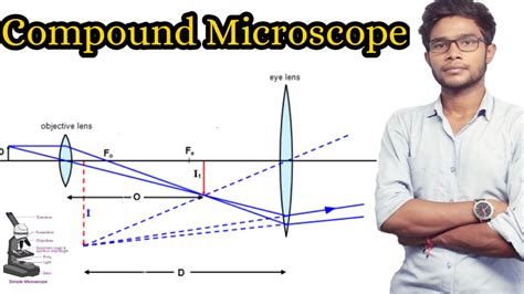 Compound Microscope Magnification Formula at Anthony Galloway blog