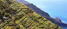 le terrazze corniglia corniglia i terrazzamenti alle cinque terre liguria le terrazze corniglia corniglia i terrazzamenti alle cinque terre liguria