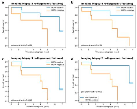 CT Image-Based Biopsy to Aid Prediction of HOPX Expression Status and ...
