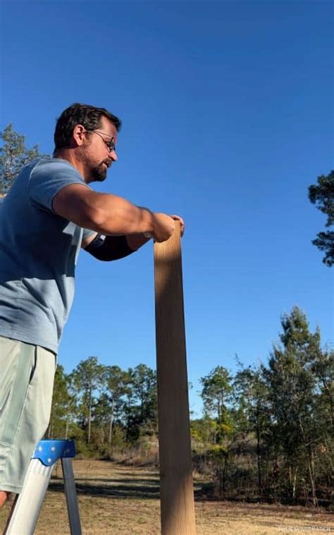 Image result for Laser String for Posts