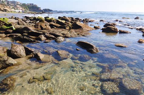 The rocks and tidepools are what make Laguna Beach such an amazing ...
