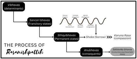 Dystopian Bildungsroman: Rasa, Emotions, and Identity in Priya Sarukkai ...