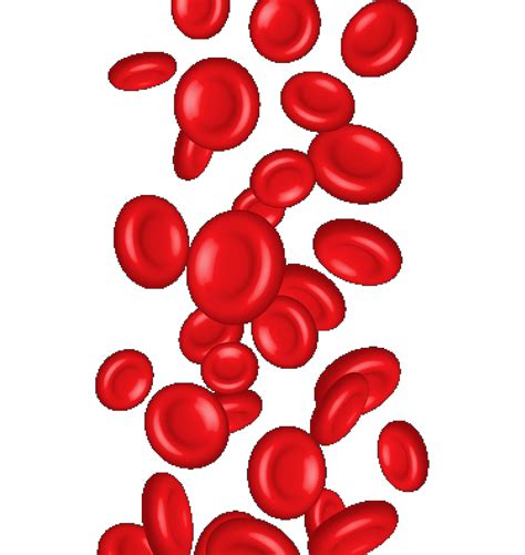 RBC Normal Range (Red Blood Cell ): Test, Symptoms, Causes