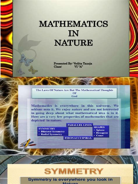 Image result for Math Nature