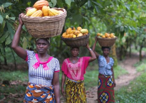 Global to Local Format 的图像结果