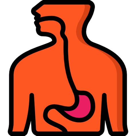 Esophagus - Free medical icons
