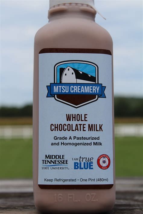 Mtsu Fall Calendar - Printable Word Searches