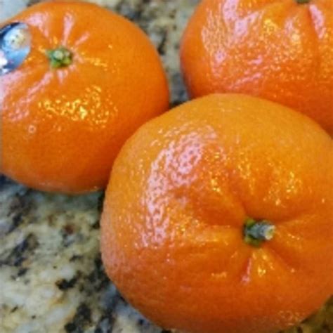How Many Calories In Container Mandarin Oranges at Dustin Richards blog