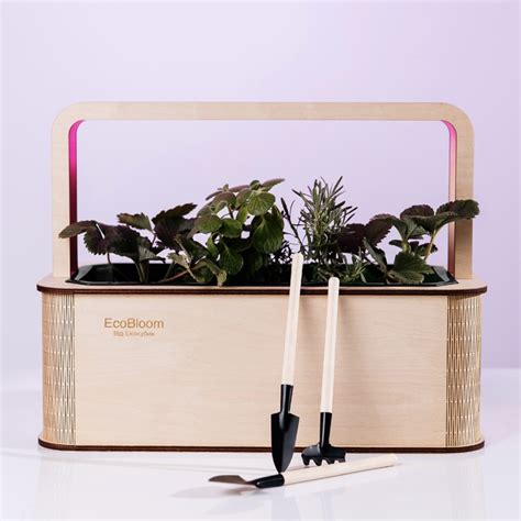 Купить Умный набор для выращивания растений «Ecobloom», микрогрин по ...