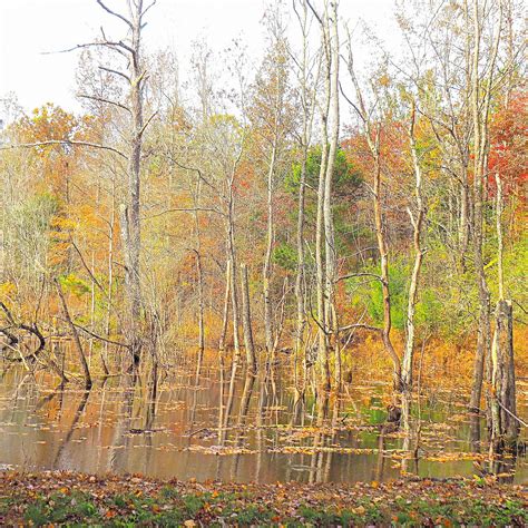 ENTERPRISE SOUTH NATURE PARK: Tutto quello che c'è da sapere