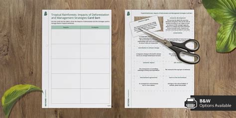 GCSE AQA Tropical Rainforest Impacts & Strategies Card Sort
