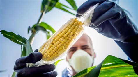 Résultat d’images pour gentechnik 