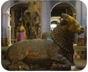 Sri Balaji Travels - Two Days Packages