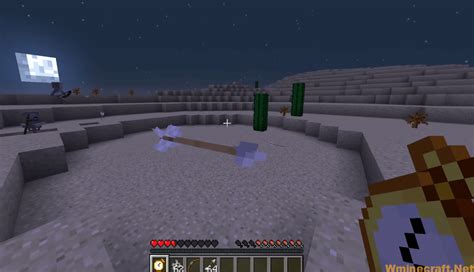 Image result for Time Stop Mod 1.16.4