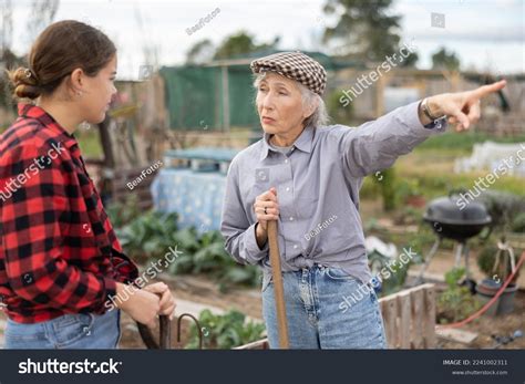 Image result for Neighbors Not Getting Along