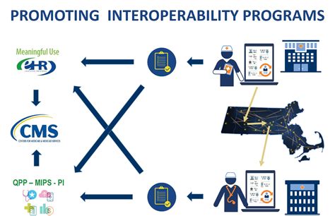 Interoperability Program Structure 的图像结果