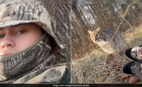 Bobcat attacks US teen during turkey hunt, terrifying video goes viral