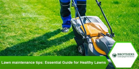 Image result for Landscape Maintenance Tips