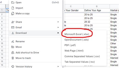 Google Form Response Excel-Format 的图像结果