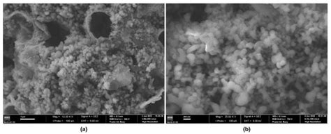 Novel Oxygen- and Curcumin-Laden Ionic Liquid@Silica Nanocapsules for ...