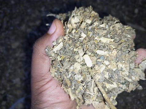 Chicken Poop Fertilizer: Is It Worth the Mess? - Polystead