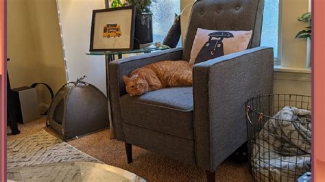 Optical Illusion Quiz: इस कमरे में हैं दो बल्लियां, क्या आप दूसरी ढूंढ ...