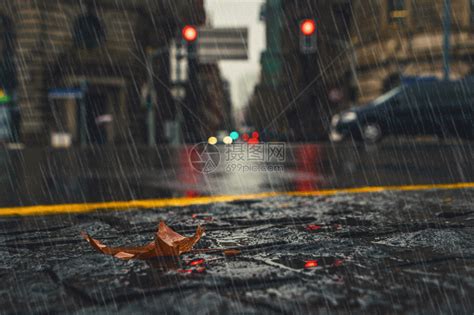 雨天街市高清图片下载-正版图片500540427-摄图网