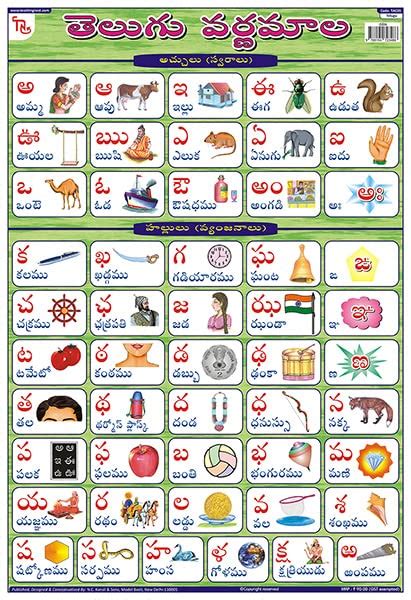 Buy TAC05 | TEACHINGNEST Telugu Alphabet Chart | Laminated 33x48 cm ...