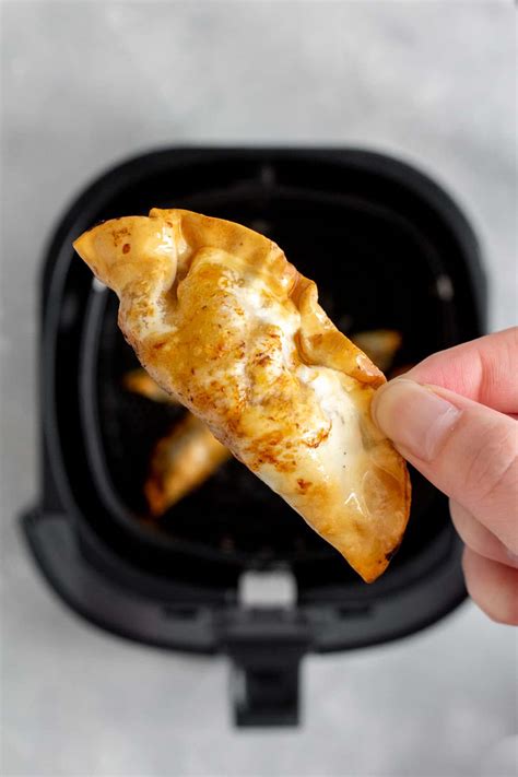 Crispy Air Fryer Dumplings: Easy Recipes for Perfect Bites – MexFoody