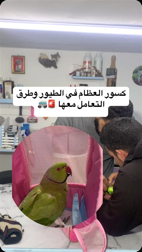 ‎د.هيثم الخطيب‎ (@dr.haitham_alkhateeb) • Instagram photos and videos