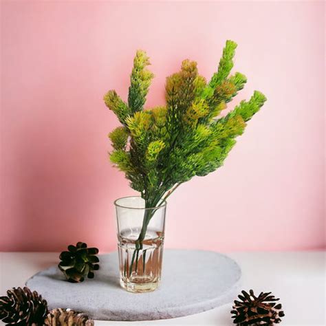 Artificial Fern leaves bunch set of 2 – FIRST BUY ONLINE VENTURES