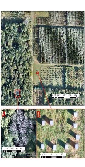 A Systematic Review of Best Practices for UAS Data Collection in ...