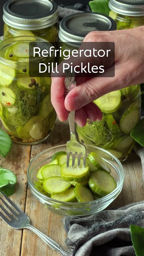 Favorite Kosher Dill Pickles Recipe - Lana's Cooking | Pickles, Pickle ...