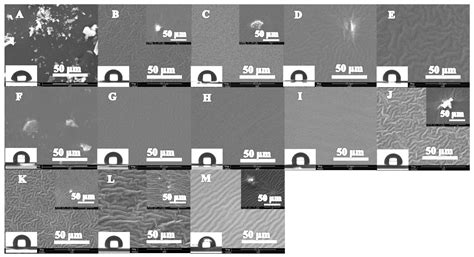 Preparation and Characterization of Tris(trimethylsiloxy)silyl Modified ...