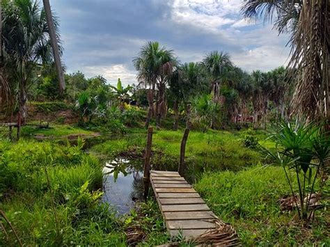 TAMBOPATA WILD (Tambopata National Reserve) - Lodge Reviews & Photos ...