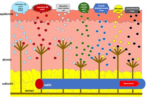 Transdermal and Topical Drug Administration in the Treatment of Pain