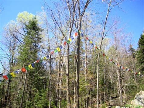 Buddha: Daily Dharma - Pema Chodron in Vermont 2013