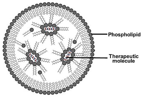 Lipid Nanoparticles: Promising Treatment Approach for Parkinson’s Disease